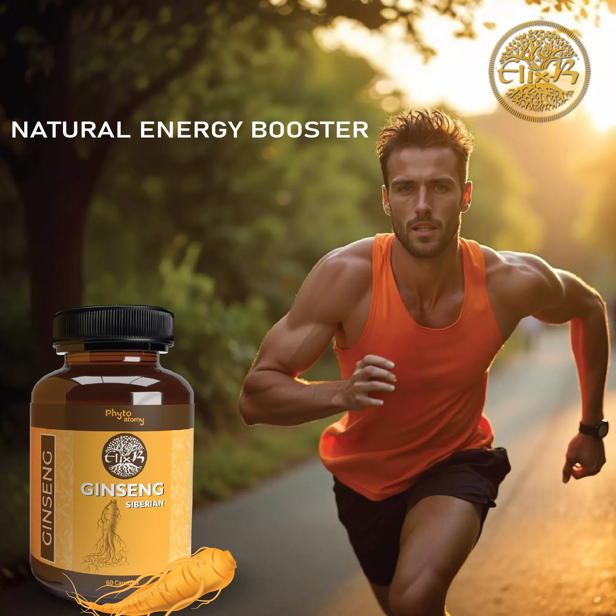 Siberian Ginseng (60 Capsule) - HS00563